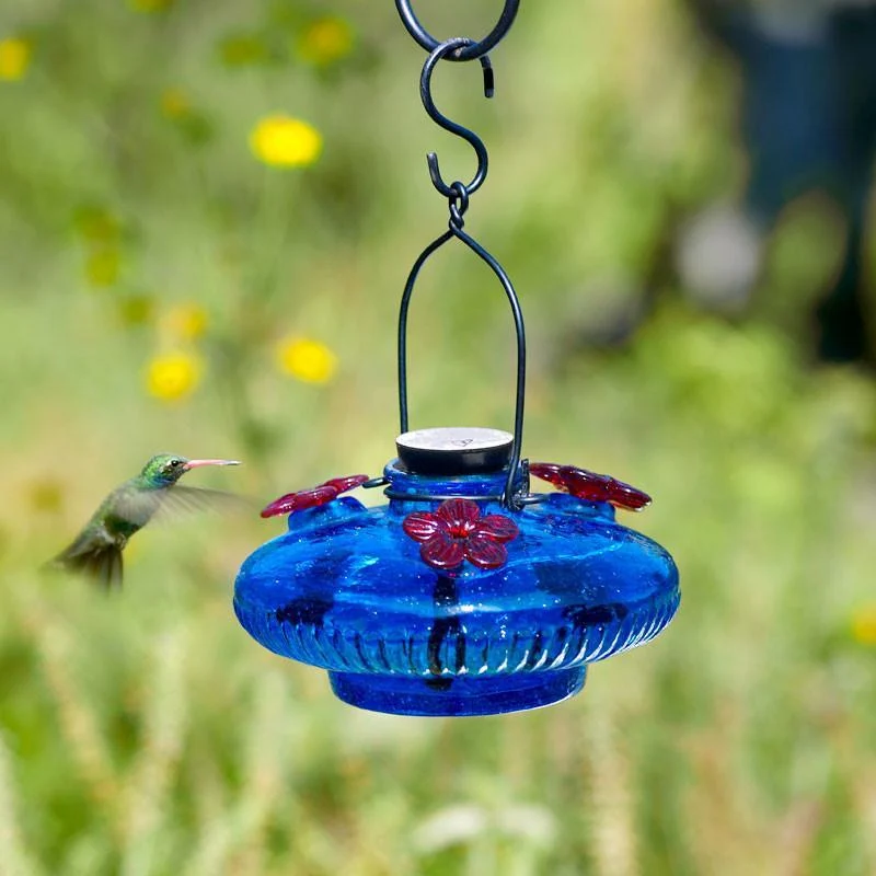 Blue Bloom Glass Hummingbird Feeder by Parasol Gardens