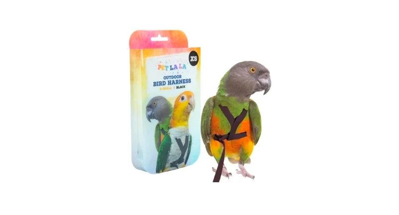 Harnais pour oiseau XL Noir PL2186 Petlala