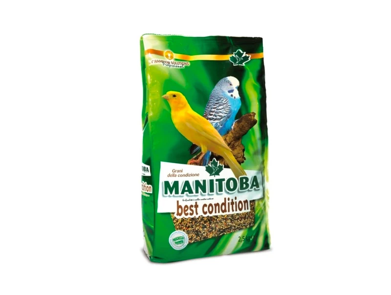 Semences de qualité Manitoba 2.5 kg