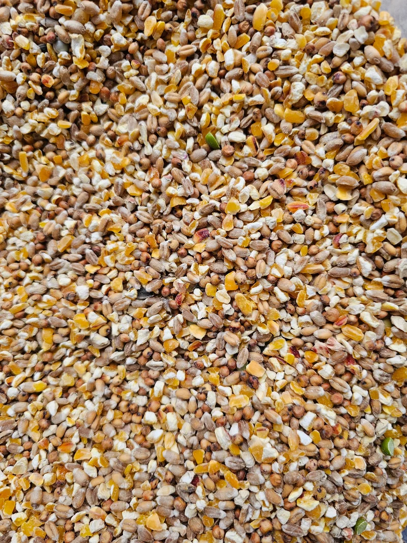 Poeljen grain 5kg - Aliments pour poulets - Sans marque