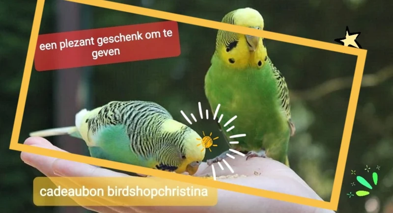 Chèque cadeau Birdshop Christina
