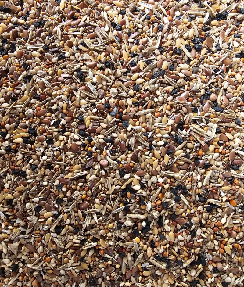 Graines santé (graines sauvages) - Versele Laga 5kg
