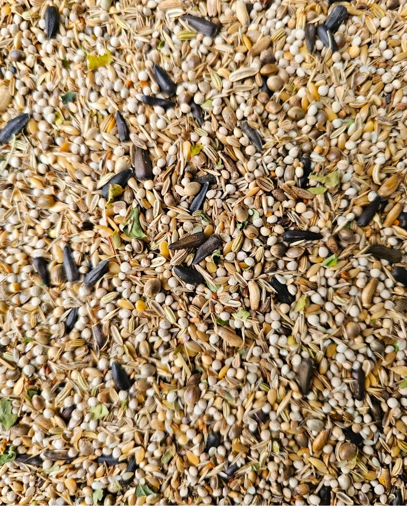 Mélange de graines de Carduelis 10 kg (auto-emballé) - Mélange pour oiseaux et herbes
