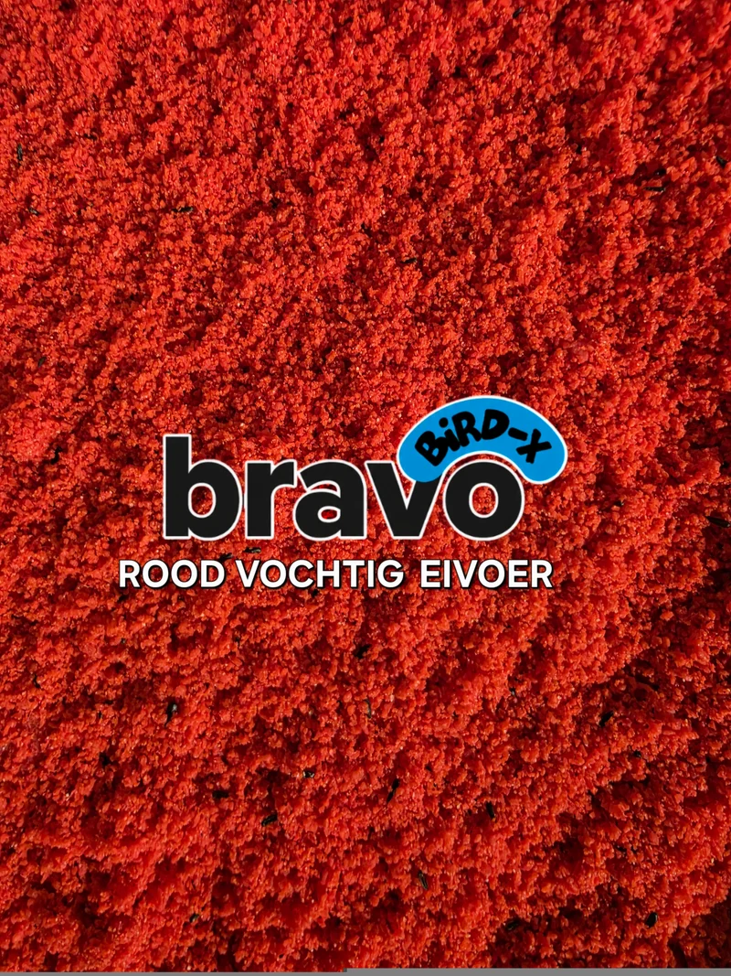 Aliment humide pour œufs Bravo Red 5 kg - Bird-X Italia