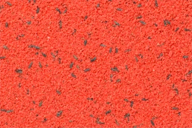 Aliment semi-humide pour œufs Bravo Red 1 kg - Bird-X