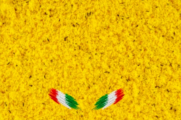 Aliment humide pour œufs jaunes Bravo 20 kg - Bird-X Italia
