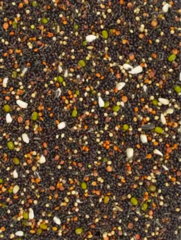 Graines germées 5 kg - Canaris et pinsons - Bird-X