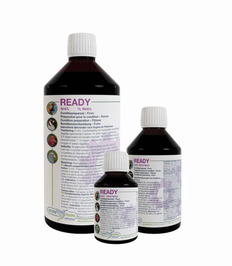 Ready 100ml (Boost énergétique supplémentaire, vitamine B12, L-Carnitine) - Neornipharma