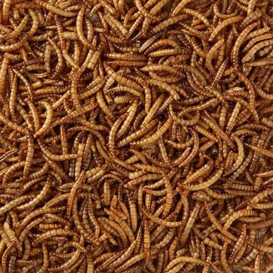 Vers de farine séchés en sac de 5 kg
