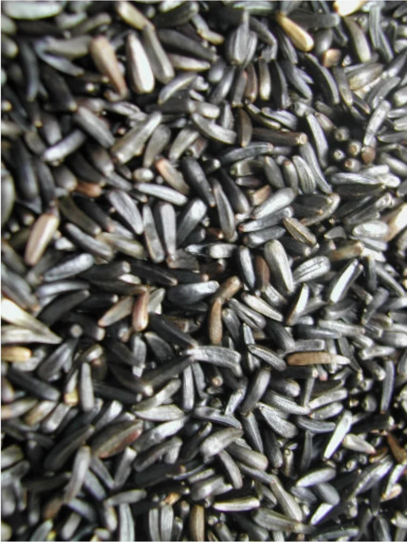 Graine de Niger Niger 20kg - Versele Laga