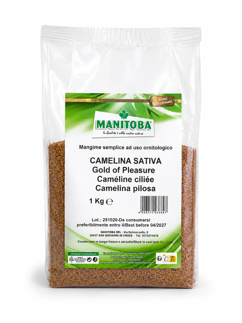 Or du plaisir (possède les propriétés des graines de chanvre (petite moutarde) 1 kg - Manitoba