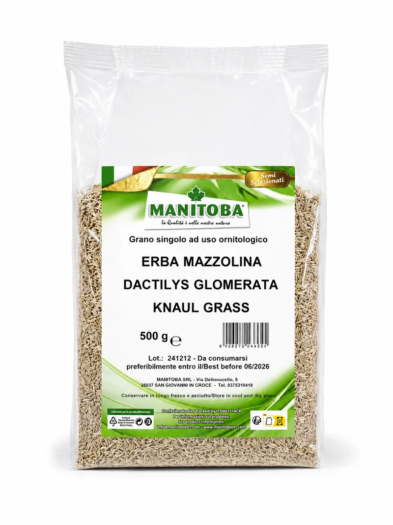 Herbe Knaul (herbe cultivée) 500 grammes - Manitoba