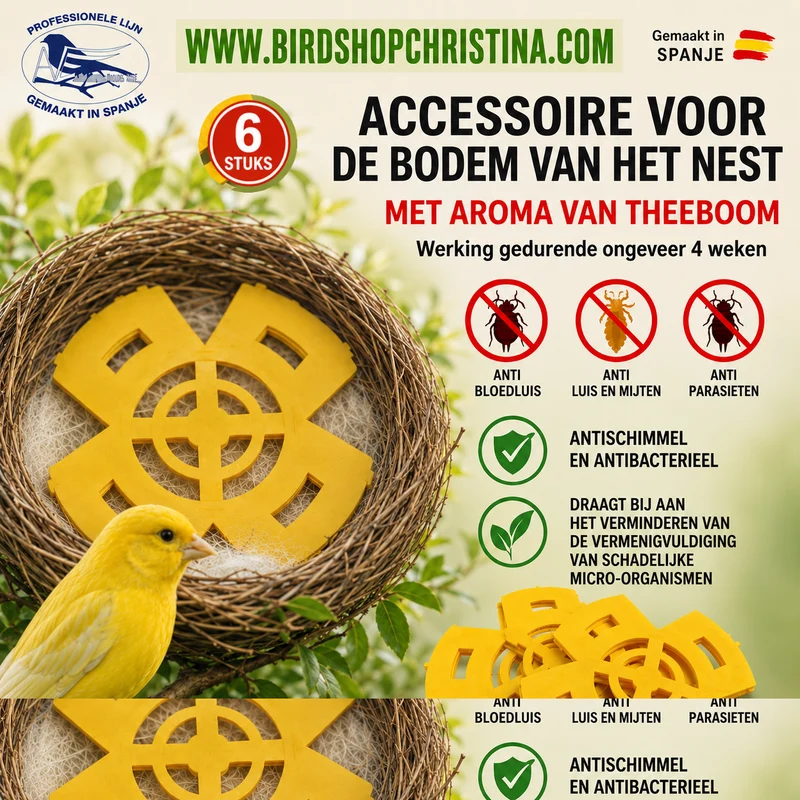 Accessoire pour base d'emboîtement (6) - Action anti-acariens, antifongique et antibactérienne - Moldes Ave