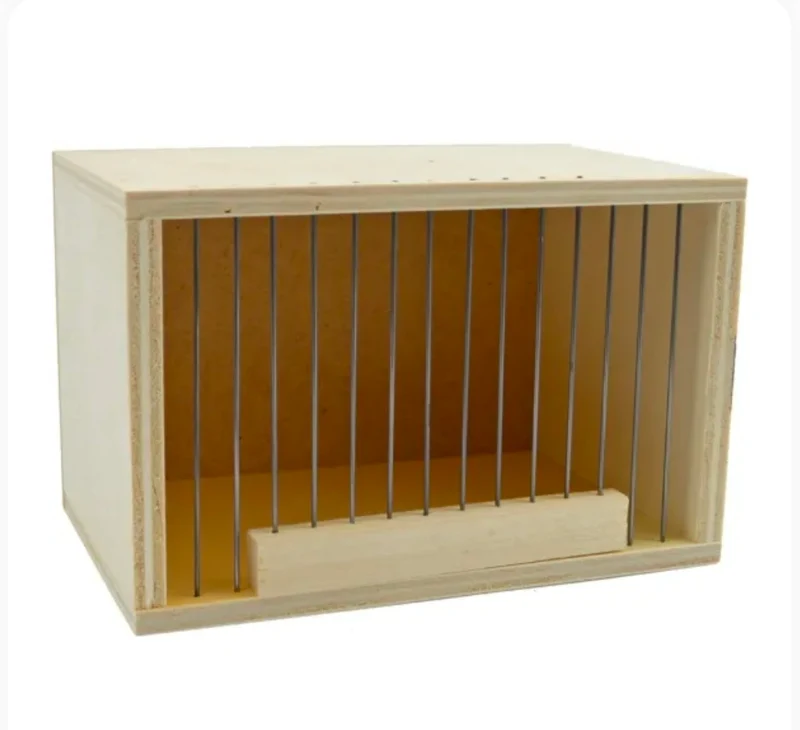 Conteneur de transport petit format 19.5 x 12.5 x 12 cm