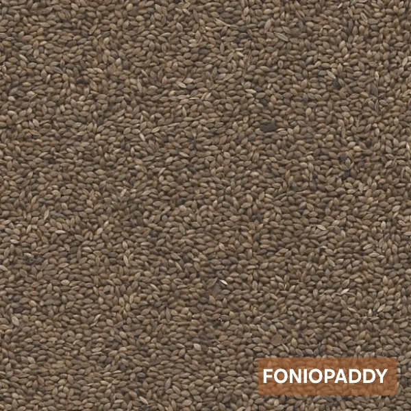 Foniopaddy 1kg GoldBird (auto-emballé)