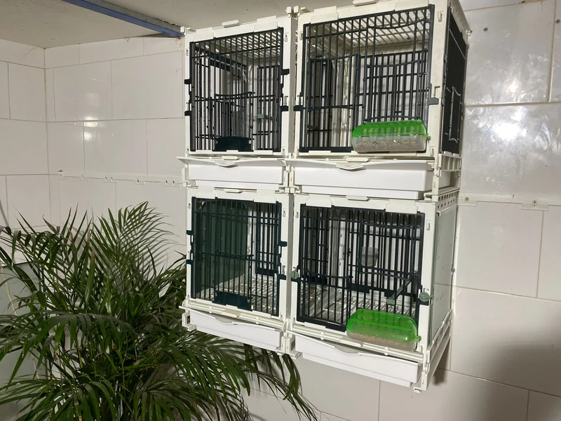 Modèle SG1, module cage - MA Cage - Moldes Ave