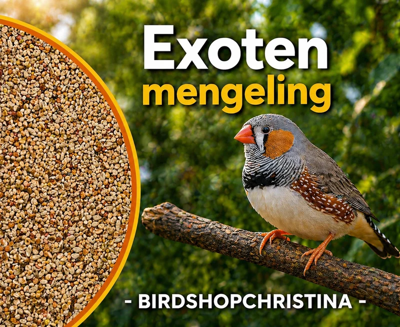 Oiseaux exotiques standard - 5 kg non décortiqués - nourriture pour oiseaux