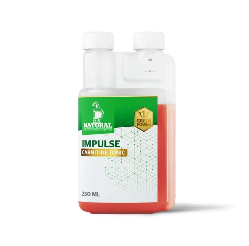 Green Power, « Impulse Carnitine Tonic » 250 ml, Naturel