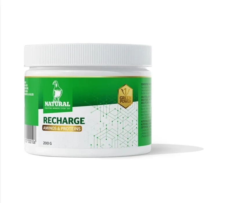 Green Power, Recharge « Aminos et Protéines » 200 grammes, Naturel