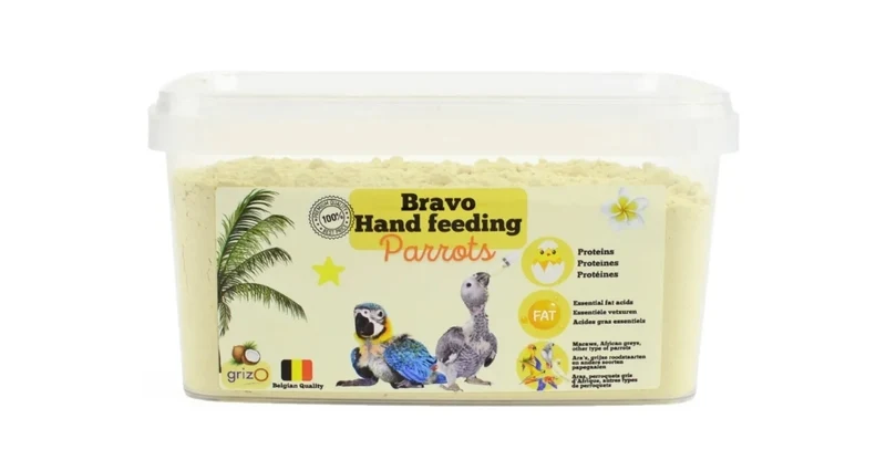 Perroquet de 800 grammes élevé à la main Bravo