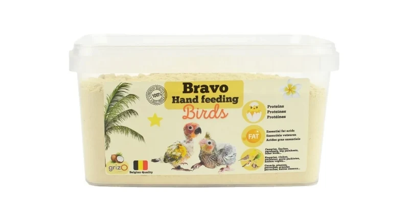 Oiseaux Bravo élevés à la main de 800 grammes