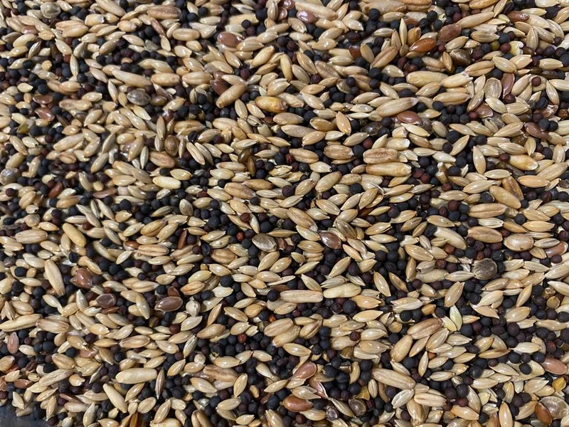 Mélange Canaris Bird-X 5kg - Mangeoire à oiseaux - Mélange complet