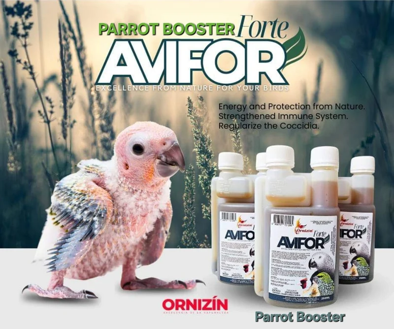 Booster pour perroquets 250 ml - Avifor Forte - Ornizin