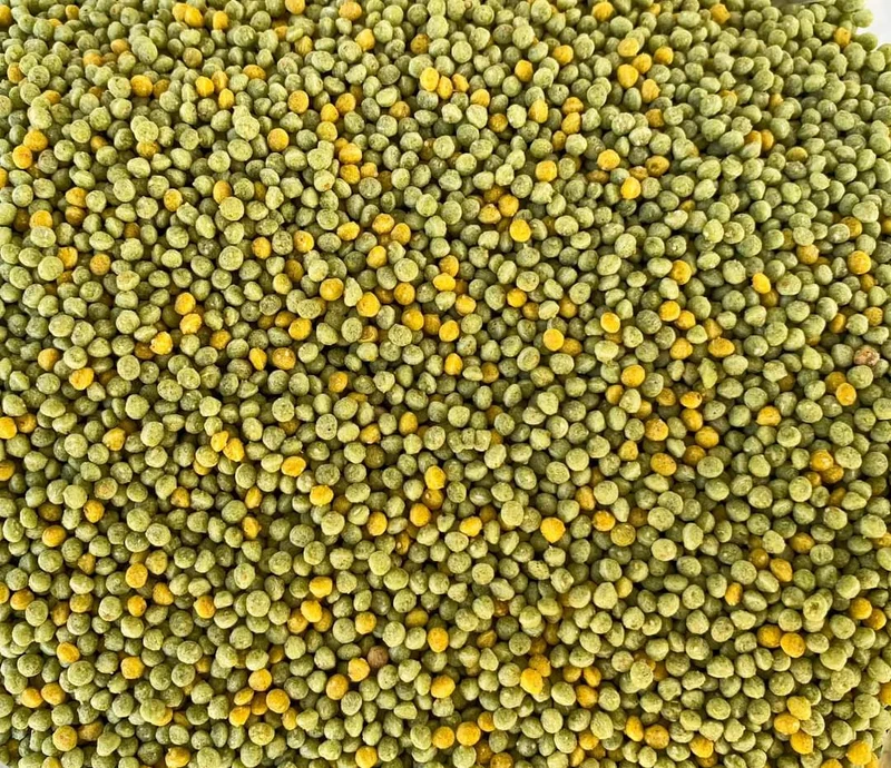 Bravo Pearls (remplacement classique de la perle morbide)