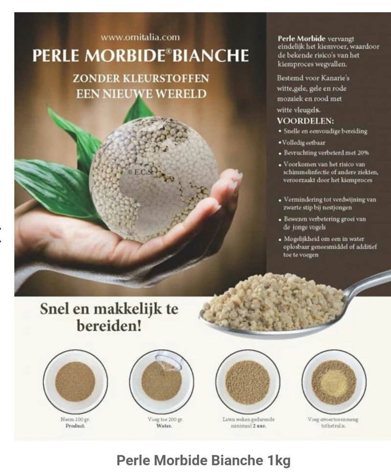 Perle Morbid White 800 grammes