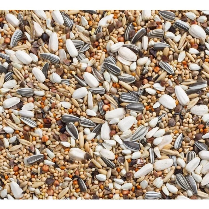 Mélange pour grandes perruches 5 kg - Sans marque