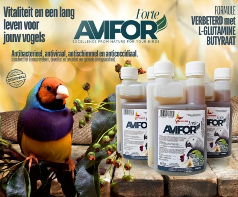 Avifor Forte 250ml (Exotiques - Diamant de Gould) Ornizìn