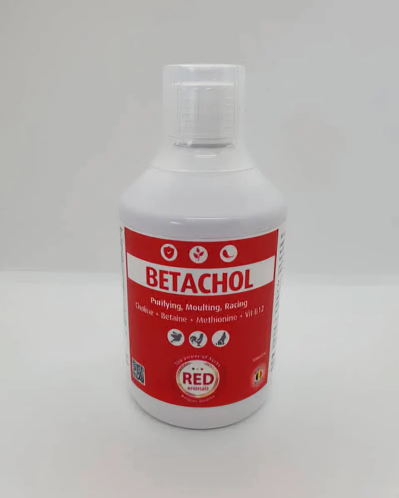 Betachol (couleur rouge avec vitamines B, foie, plumage) 500ml - Red Animals