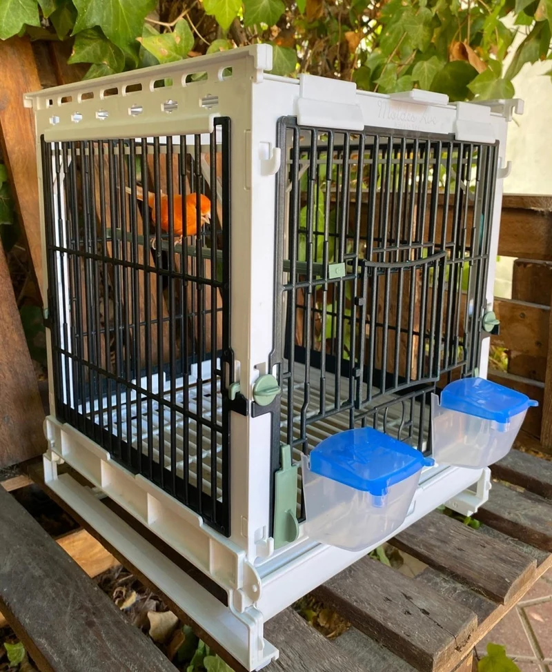 Cage d'élevage en plastique vert - MA Cage - Moldes Ave
