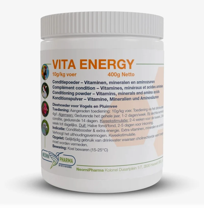 Vita Energy 400 Grammes - Neornipharma