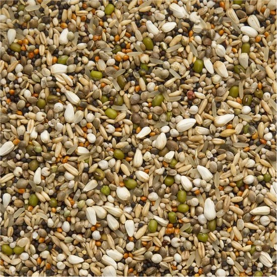 Graines de Bonbon Premium Exclusives 5 kg - Beyers