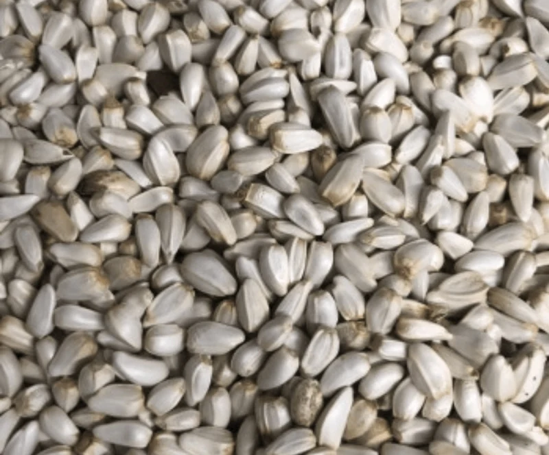 Cardi 15kg (Graines de Carthame)