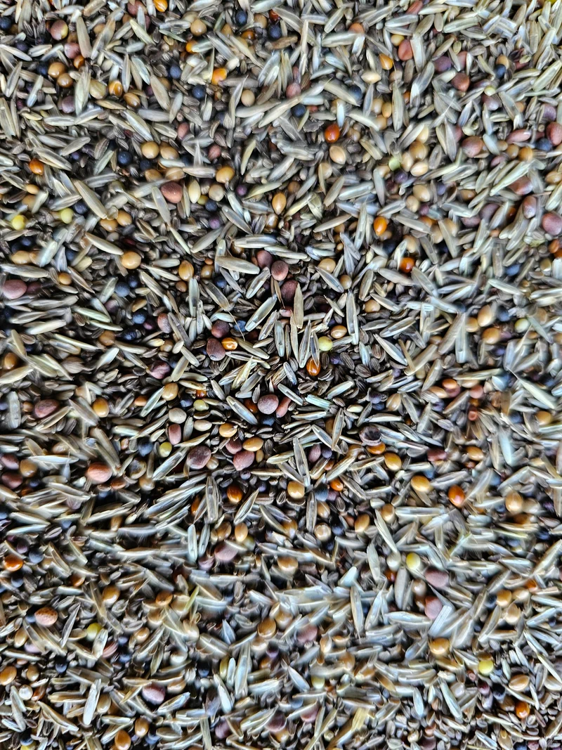 EXPERT Graines de mauvaises herbes 1kg - Witte Molen