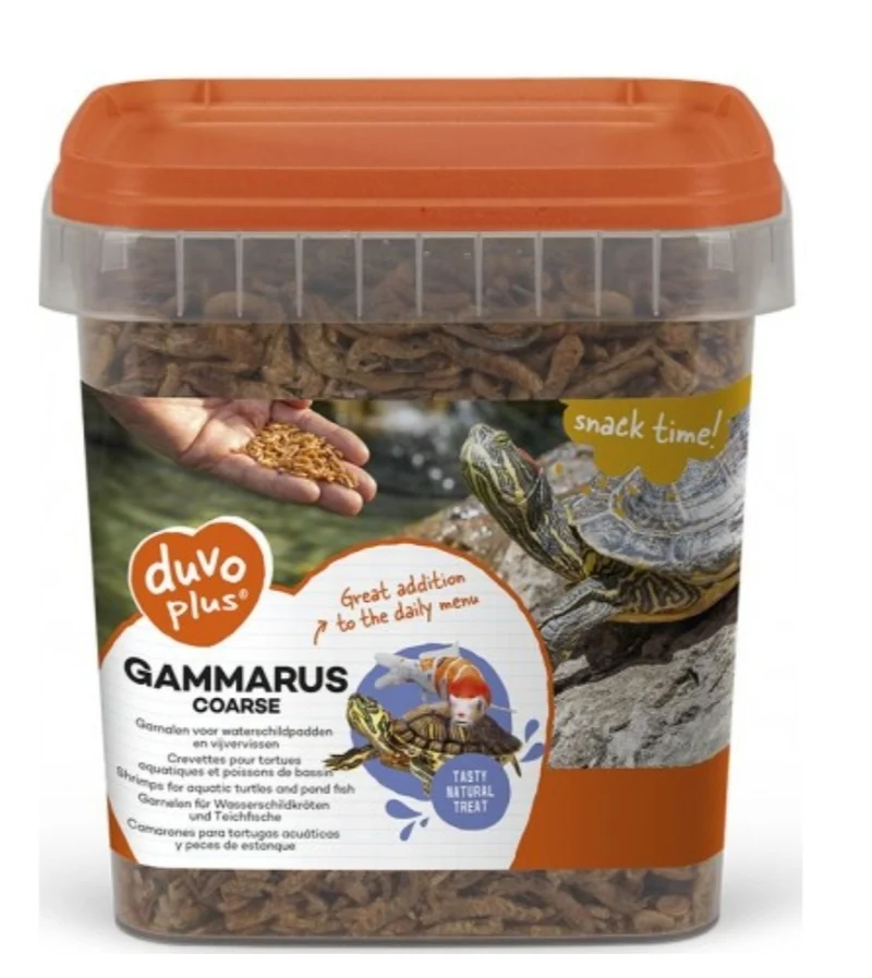Grand Gammarus 2,5L | Duvo+