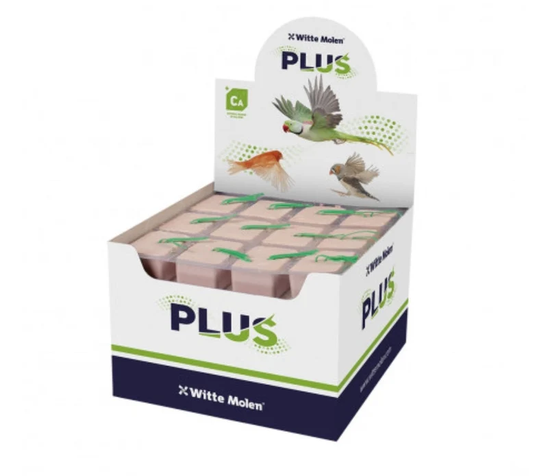 Plus Energy Blocks Small Red (petits blocs rectangulaires) 1 boîte (60 pièces)
