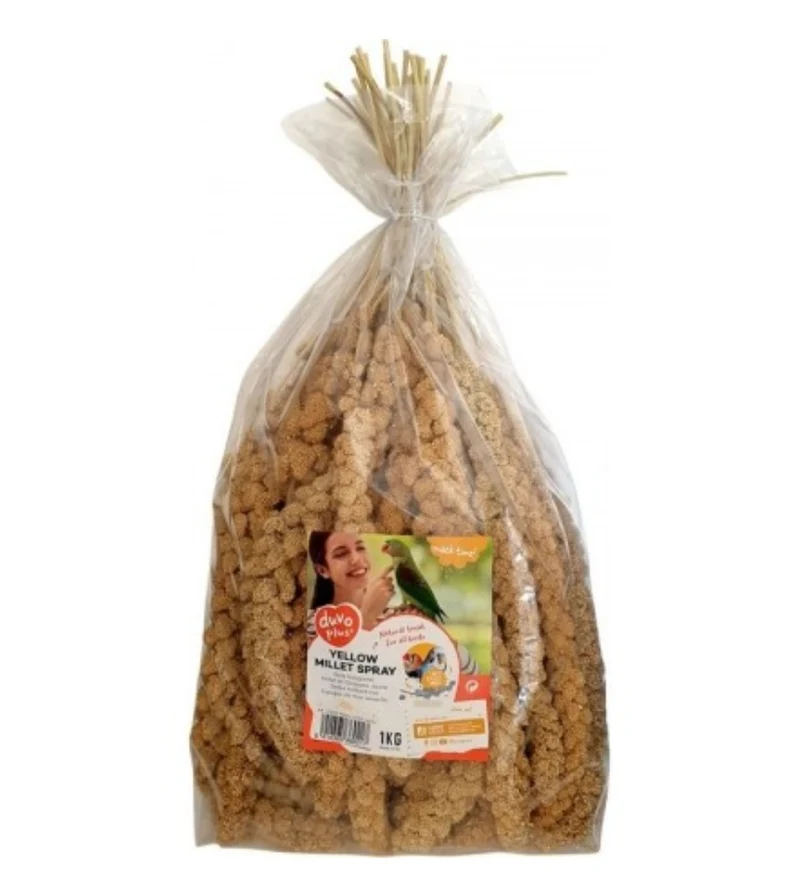 PROMO Millet jaune 1 kg