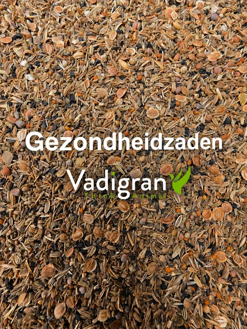 Graines santé Vadigran 1kg (auto-emballées)