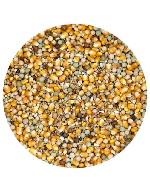 Classic Elevage & Mue - Nourriture pour pigeons - 5 kg - Versele-Laga