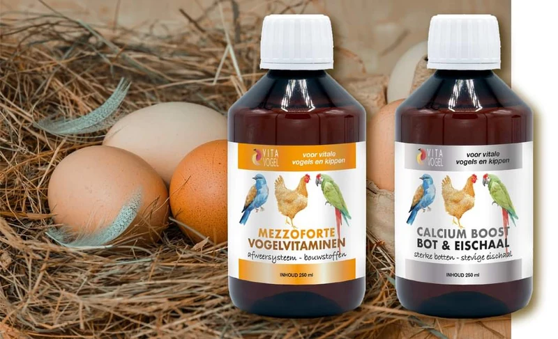 Solution contre les problèmes de ponte - Mezzoforte + Calcium Boost - Vita Vogel