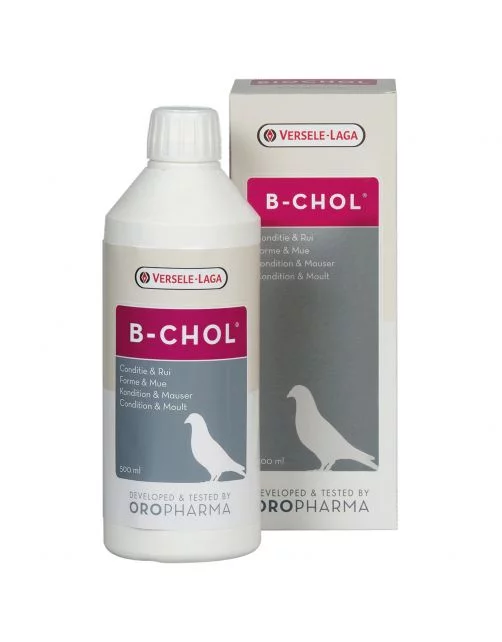 B-Chol Liver Tonic - Supplément Pigeon - 500 ml - Oropharma