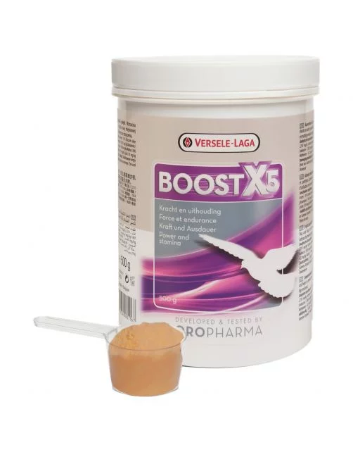 Boostx5 - Force et Endurance - 500 Grammes - Supplément Pigeon