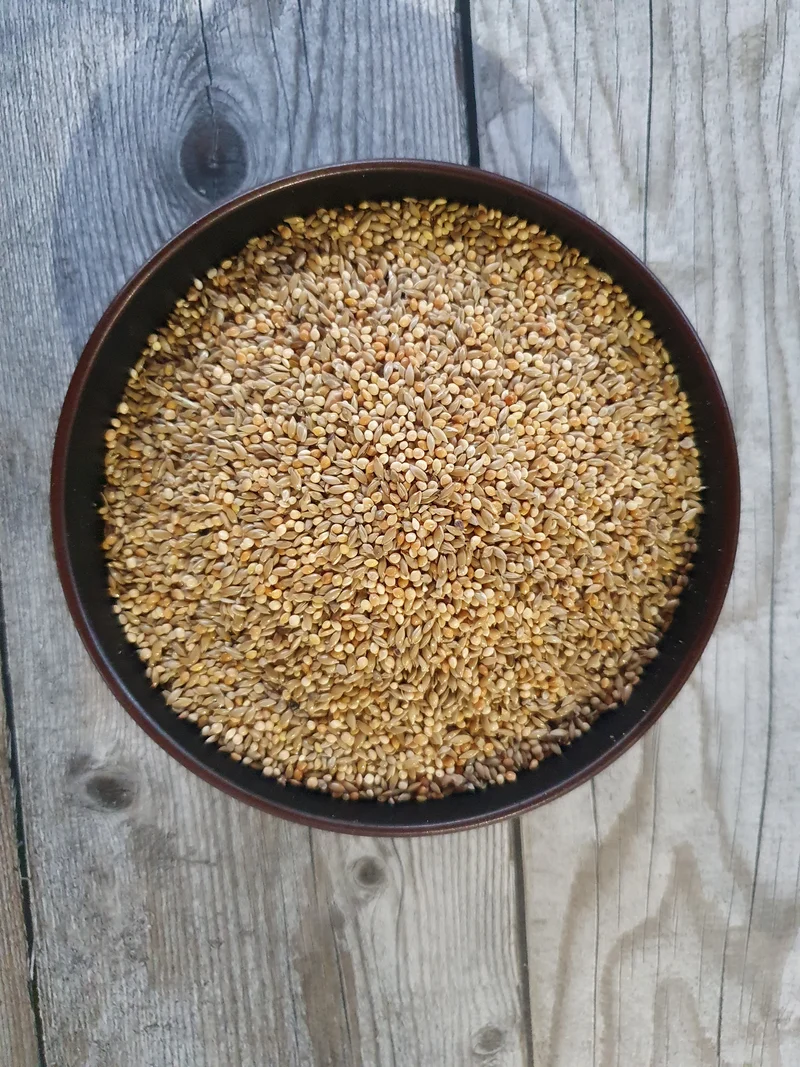 Exotiques Michotte Goulds 20kg - Hobbyfarm Hoebregts