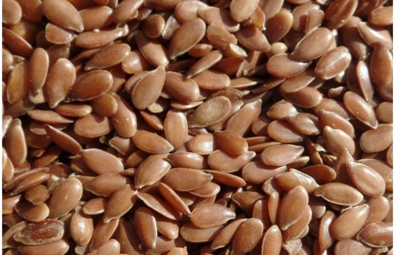 Graines de lin brun 50 grammes