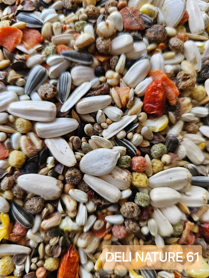 Deli Nature 61 Amazone Brillant 1kg