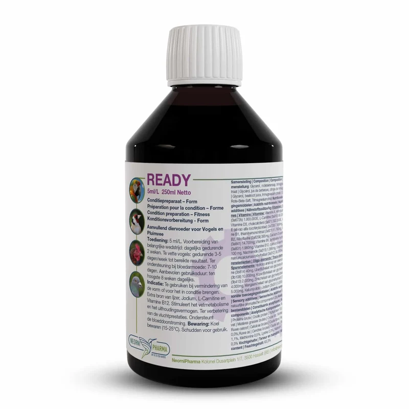 Ready 250ml (Boost énergétique supplémentaire, vitamine B12, L-Carnitine) - Neornipharma