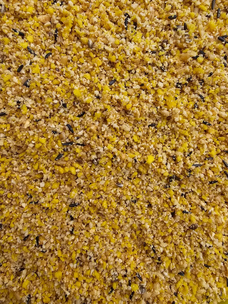 King Eggfood Jaune Extra Moite (Extra Gras) 5kg - HobbyFirst